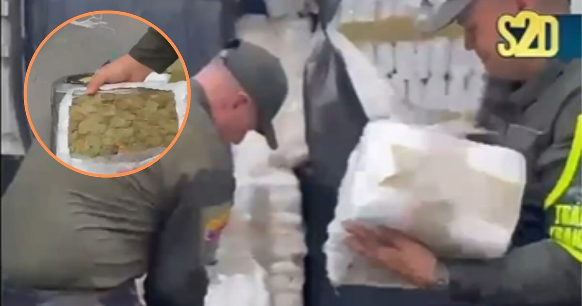 Policía decomisa 1,9 toneladas de marihuana entre Cauca y Valle del Cauca; un adolescente fue aprehendido