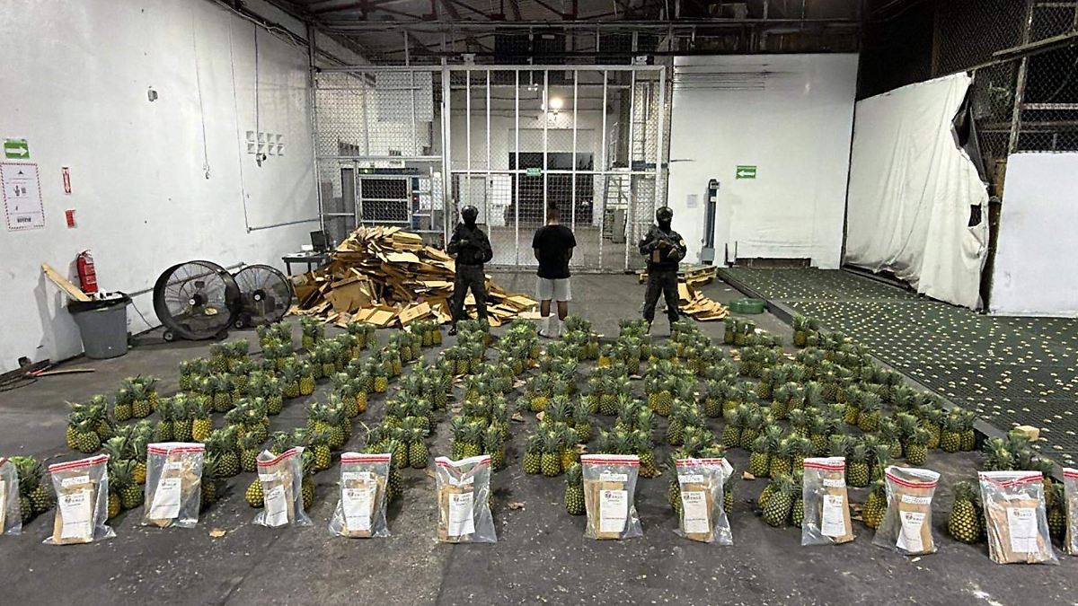 Decomisan 30 kilos de presunta cocaína escondidos en piñas en República Dominicana