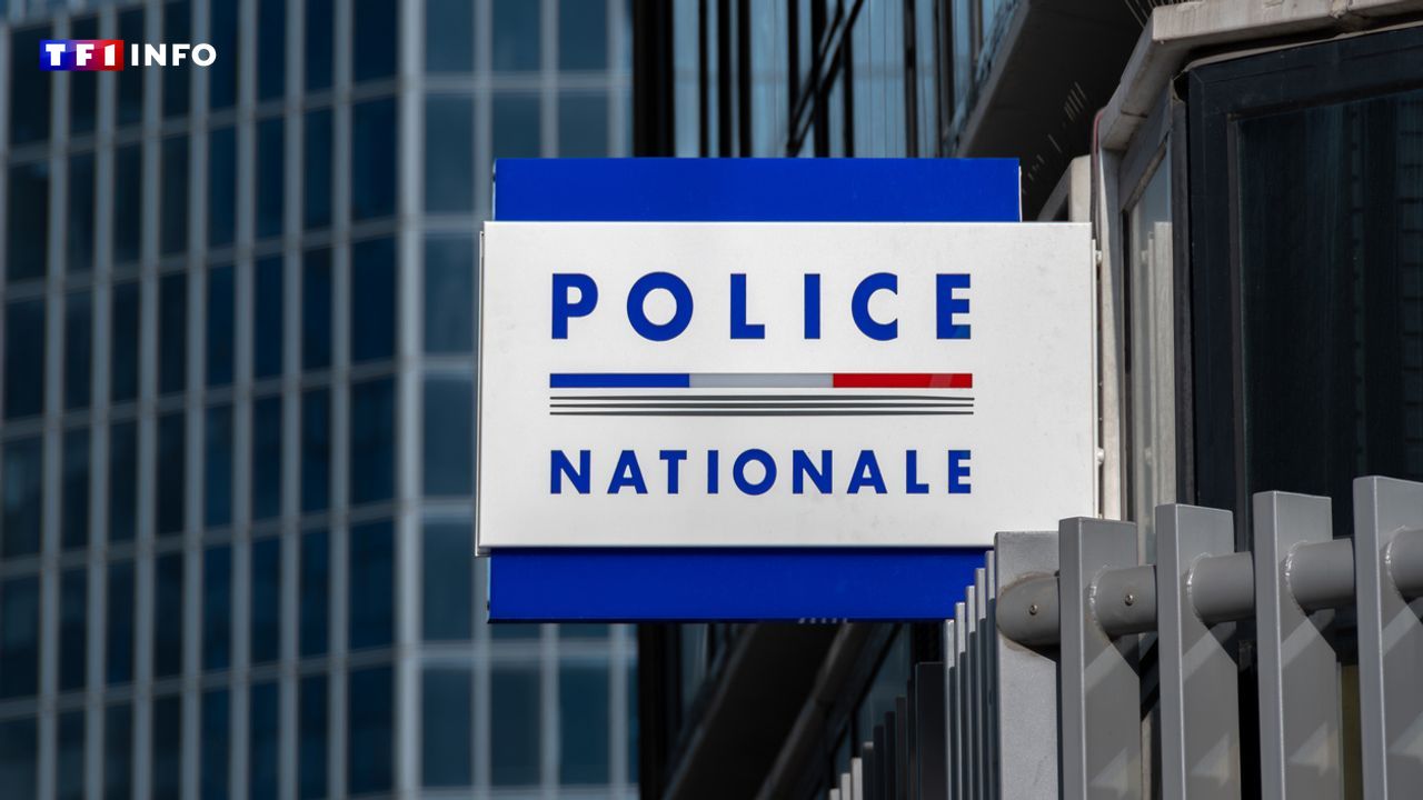 Saint-Brieuc : un mineur de 10 ans inculpé pour agression sexuelle et homicide manqué