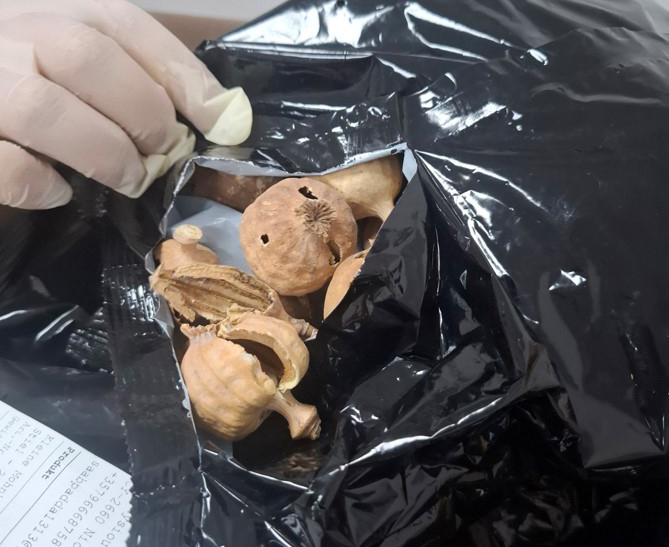 Five men held after anti-drug sweep nets 20kg of dried poppy pods