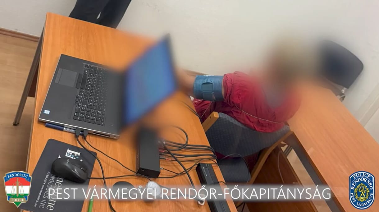 Két idős embert végzett ki egy nő Pest megyében