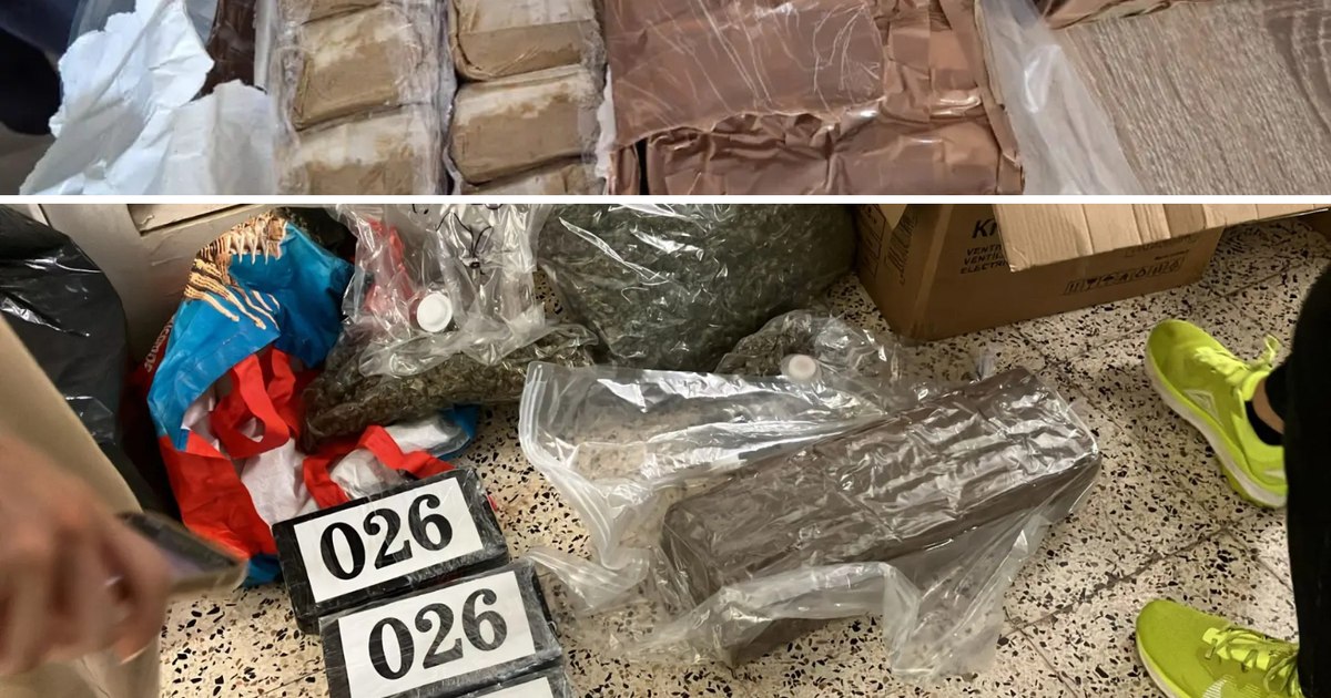 Desmantelan red de narcotráfico que enviaba cannabis de España a Francia mediante paquetería