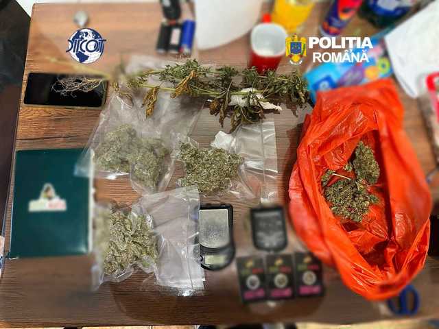Cinci dealeri, arestați în Timișoara. Vindeau canabis, cocaină și N-Etilpentedronă