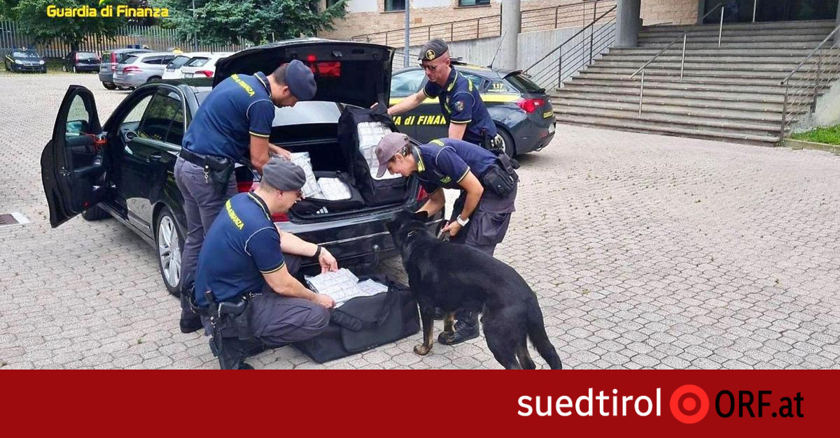 Guardia di Finanza: bilancio di 16 mesi in Alto Adige, frodi per oltre 55 milioni