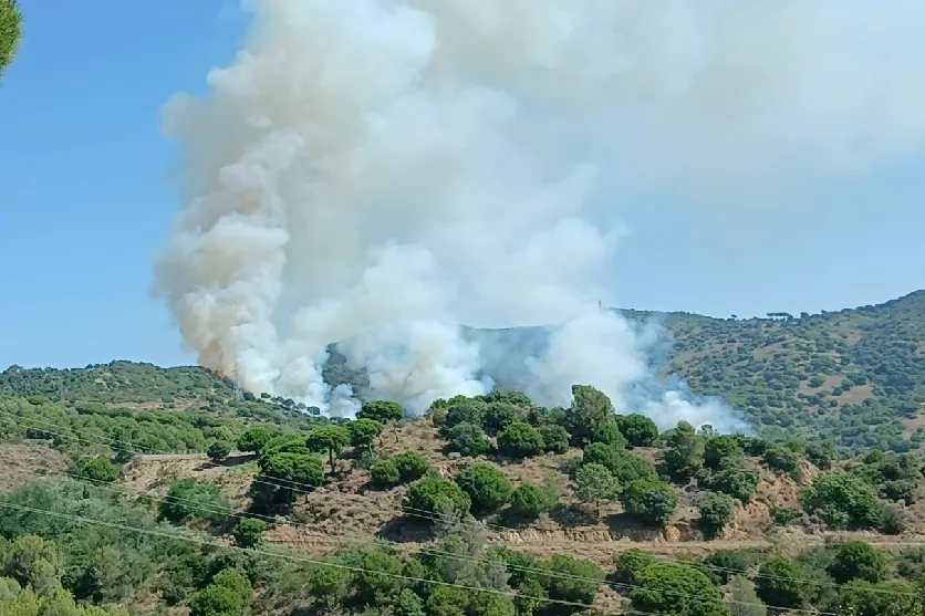 Detenido un pirómano por incendio con tres focos en Tiana y Montgat: 16.000 confinados