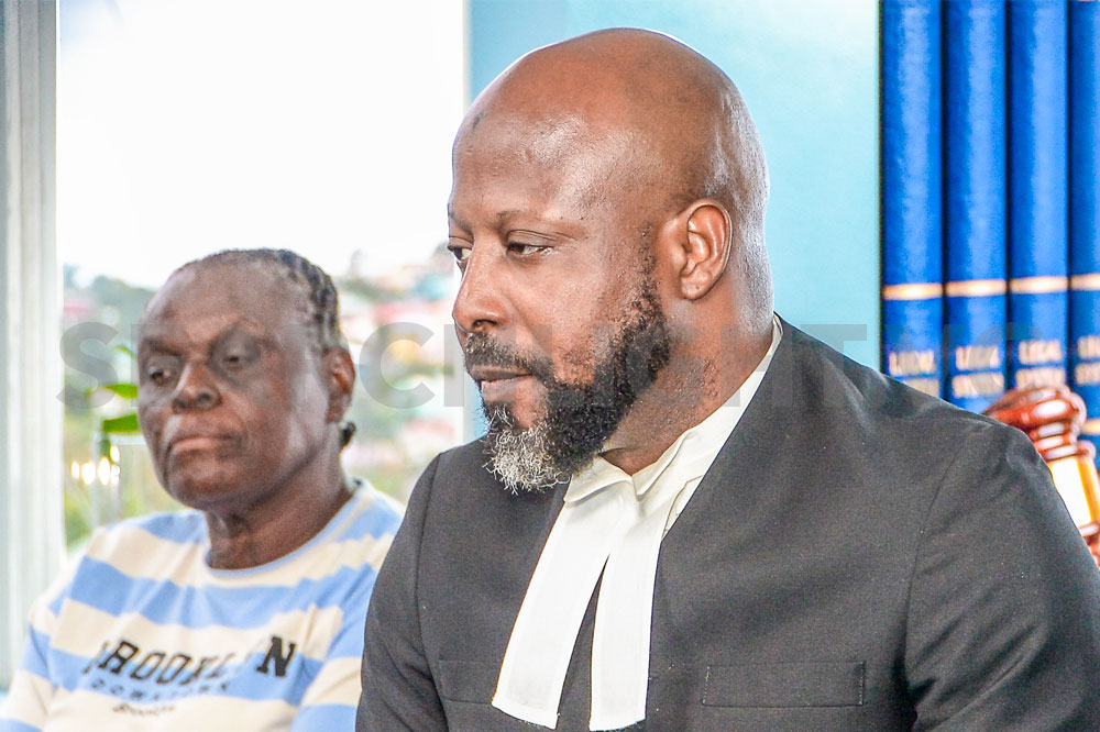 Ex-Minister Sues Government Over Claims Police Beat Mentally Unwell Detainee