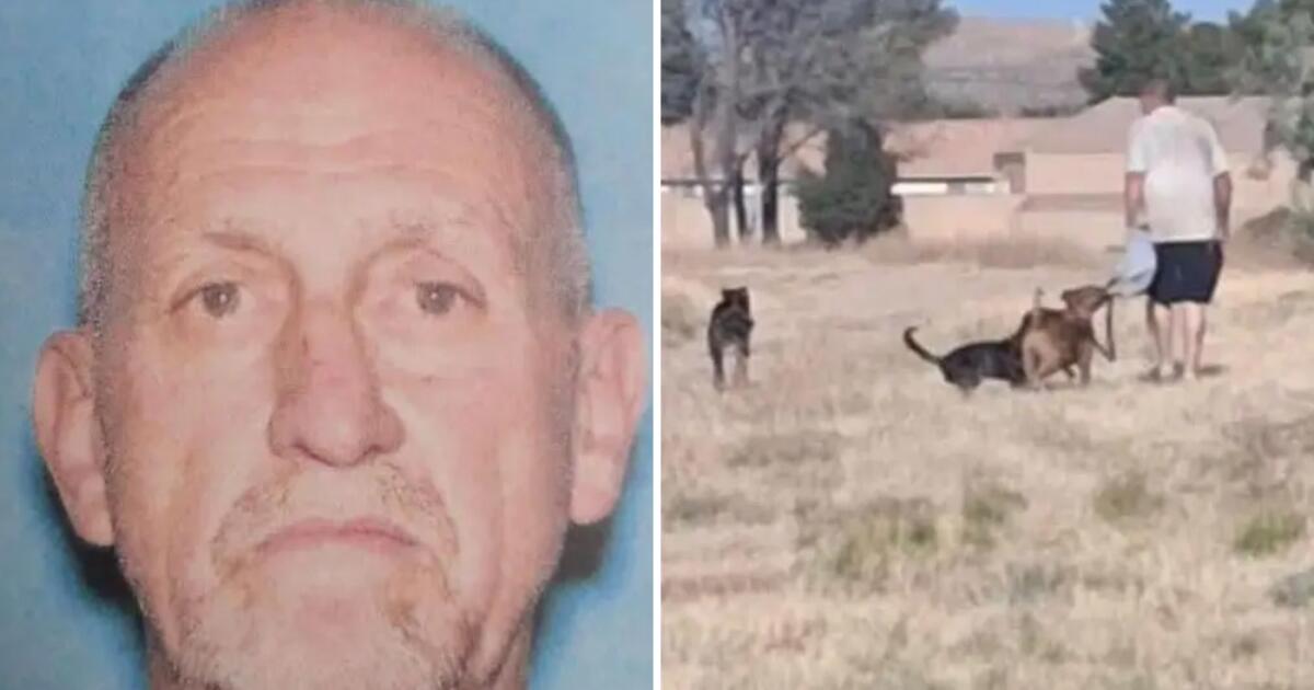 Dog owner arrested after boy drowns fleeing pets at Kern County lake
