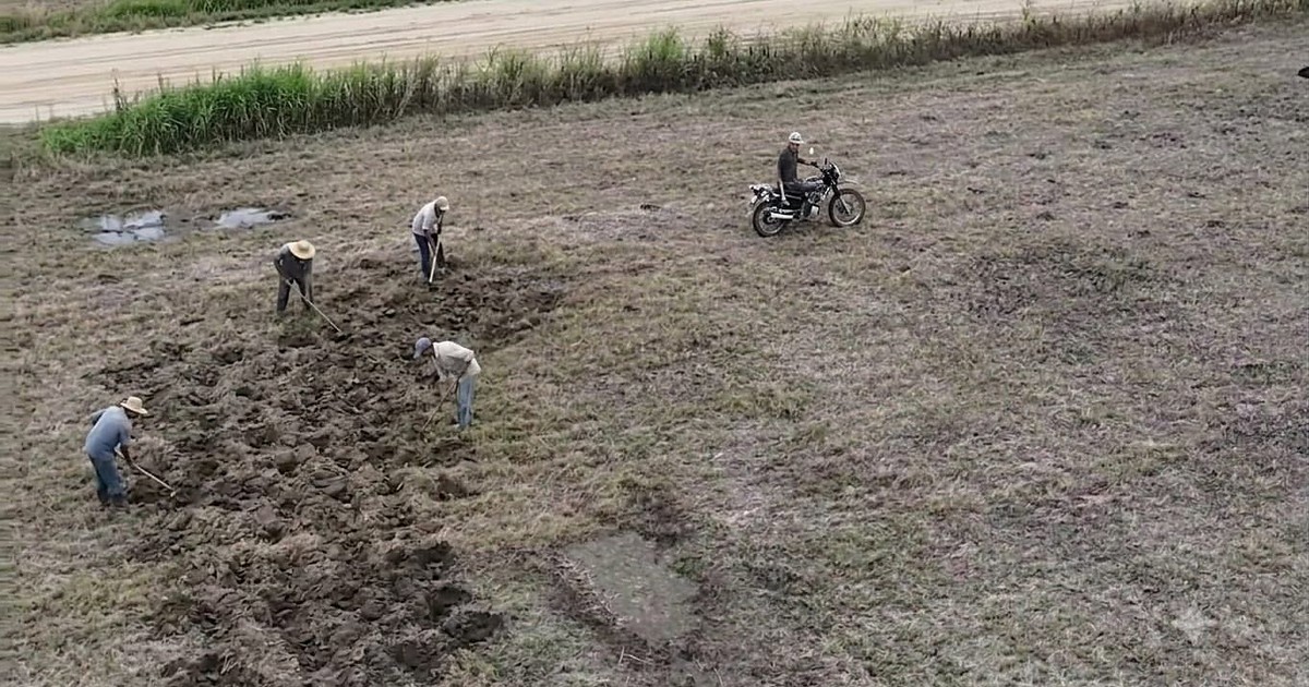 Avasallamiento armado en predio Santa Rita, Guarayos: maquinaria y encapuchados invaden tierra lista para siembra