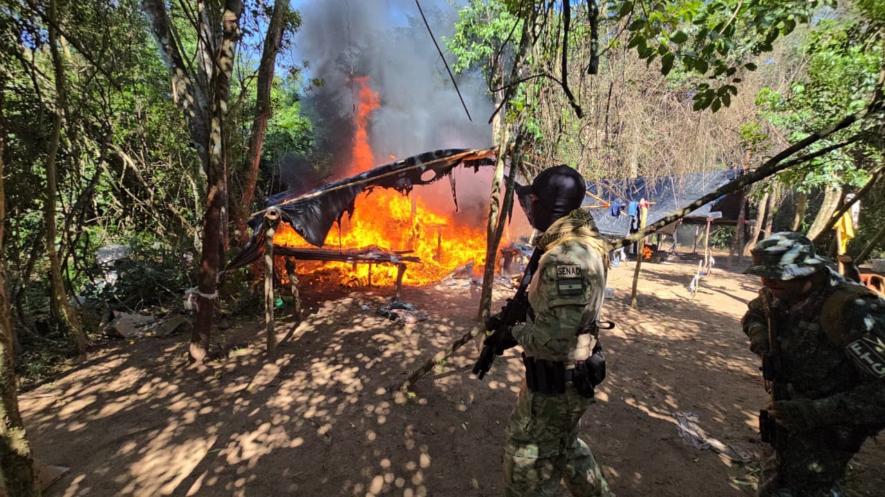 Operación Nueva Alianza destruye más de 11 millones de kilos de marihuana en frontera Paraguay-Brasil