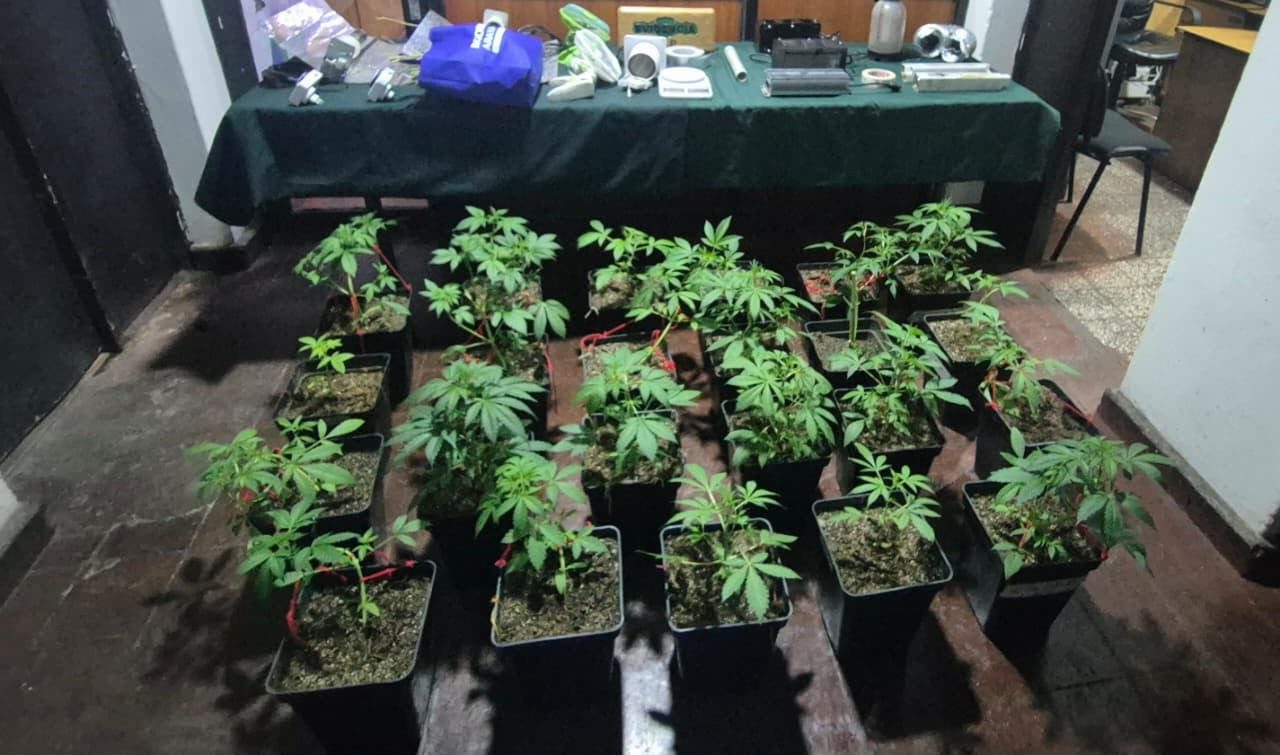 Operativo por hurto de animales en Chile Chico termina con arresto por narcóticos