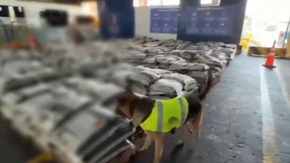 Incautadas 2,4 toneladas de cocaína en Cartagena de Indias con destino al Puerto de València