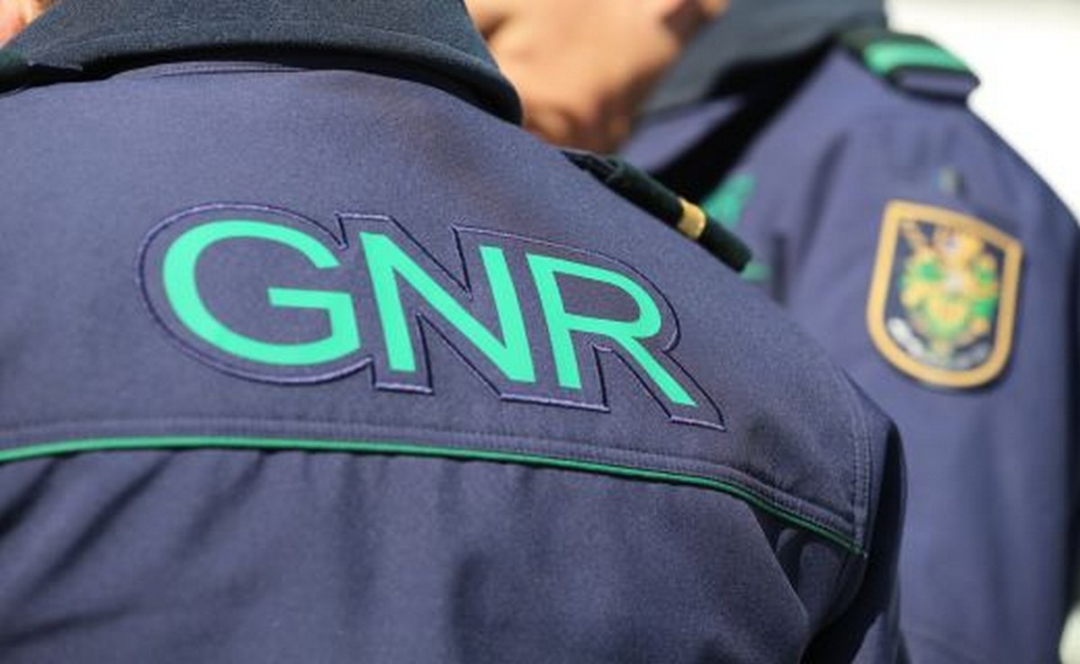 Várias detenções em operação contra tráfico de droga no concelho de Alijó