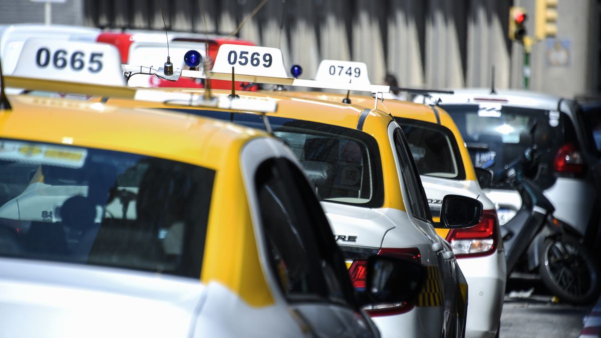 Conductor de taxi recibe pena de prisión por traficar cocaína en Montevideo