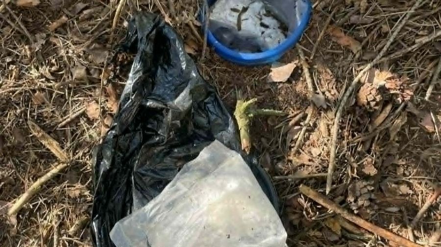Ponad 4 kg narkotyków ukrytych w lesie. Dwóch mężczyzn w areszcie