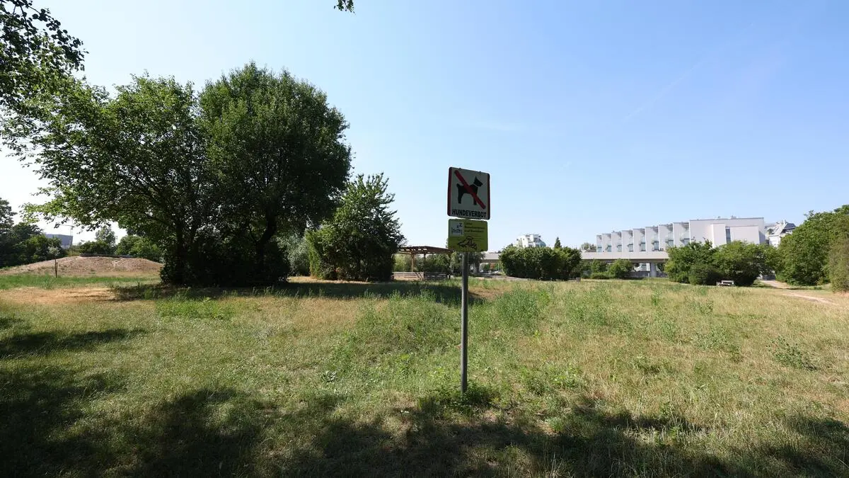 Tödliche Attacke in Wiener Grünanlage – Unbekannte flüchteten auf E-Scootern