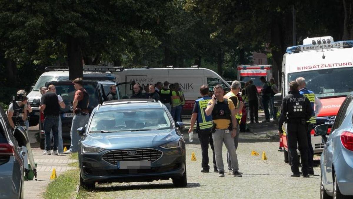 Tiroteo en Stade: seis empleados muertos en centro de menores, agresor detenido