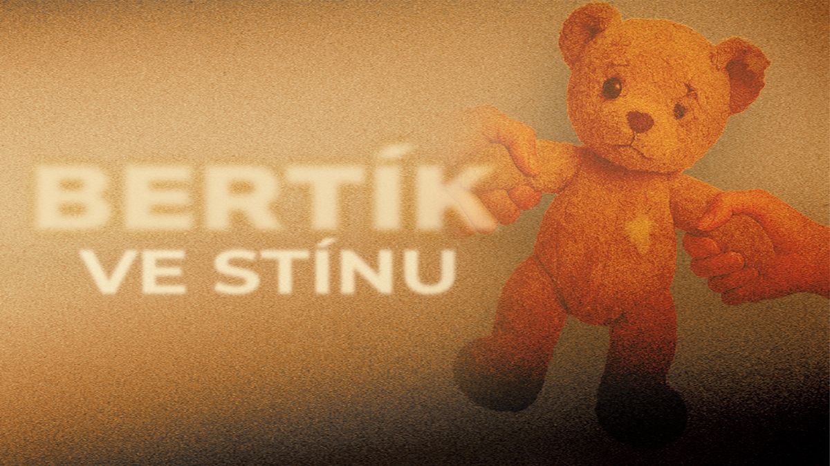 Stížnost na Českou republiku ve Štrasburku: ústavní soudce upozorňuje na pochybení v kauze pětiletého chlapce