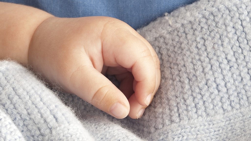 Deux bébés retrouvés morts dans le Nord de la France, les parents placés en garde à vue