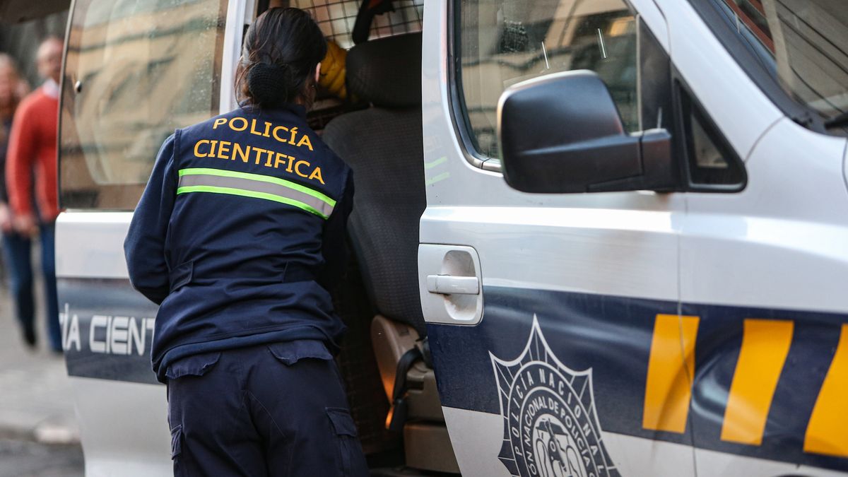 Tres homicidios en Montevideo: dos hermanos asesinados en Lavalleja y un hombre en Pérez Castellanos