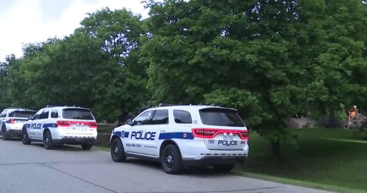 Intrusion violente à Brampton : une femme blessée, des coups de feu tirés