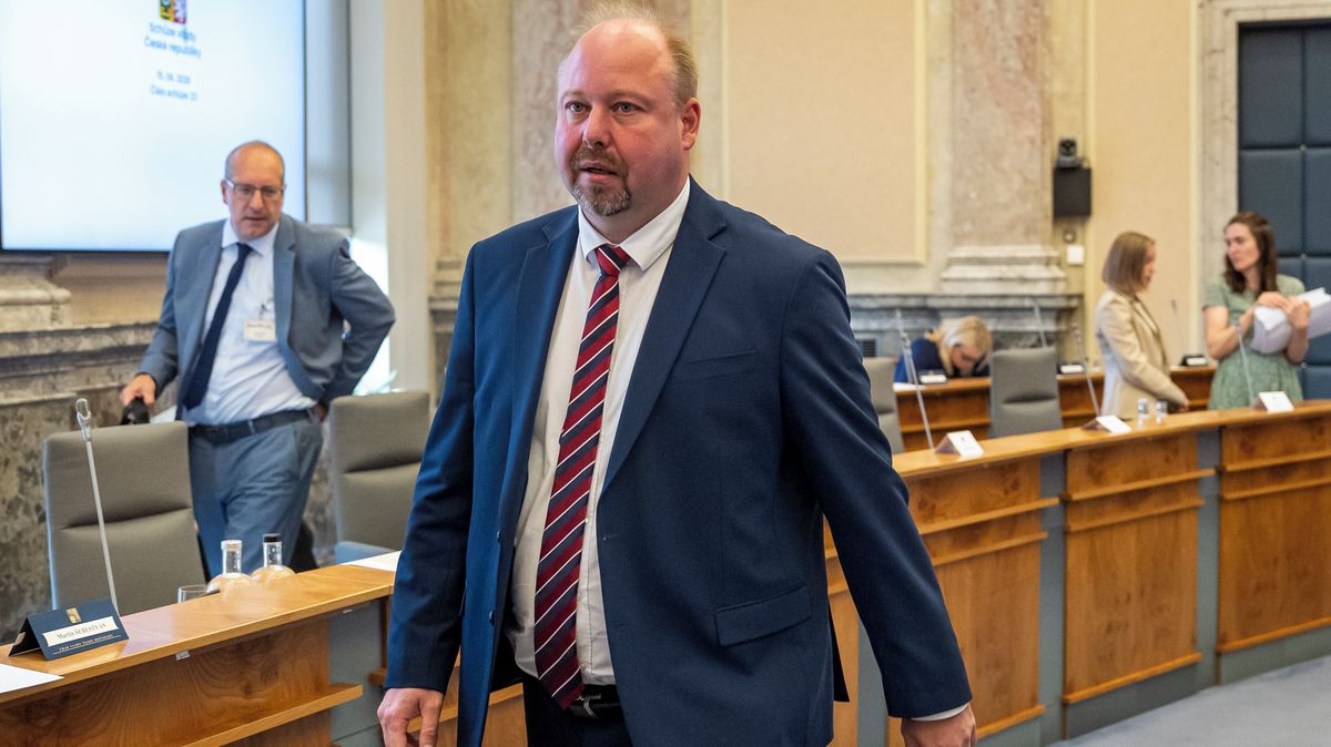 Ministr Tejc podal kárnou žalobu na soudkyni. Dítě svěřila otci, který je později zavraždil