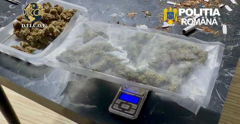 Trafic de droguri la Bacău: doi reținuți cu 1,5 kg canabis și cocaină
