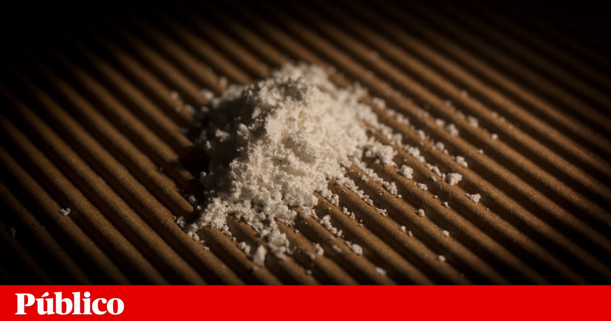 Três detidos em Lisboa com grande carregamento de cocaína