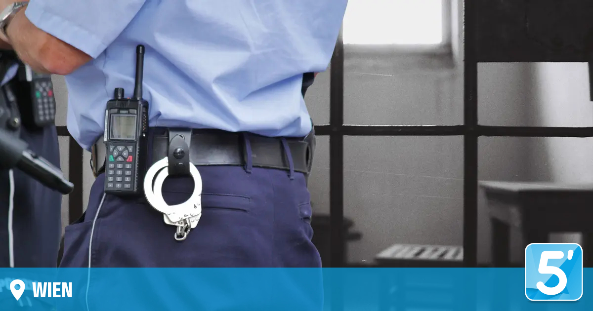 Wiener Gericht verhandelt Fall von mutmaßlicher Polizeigewalt