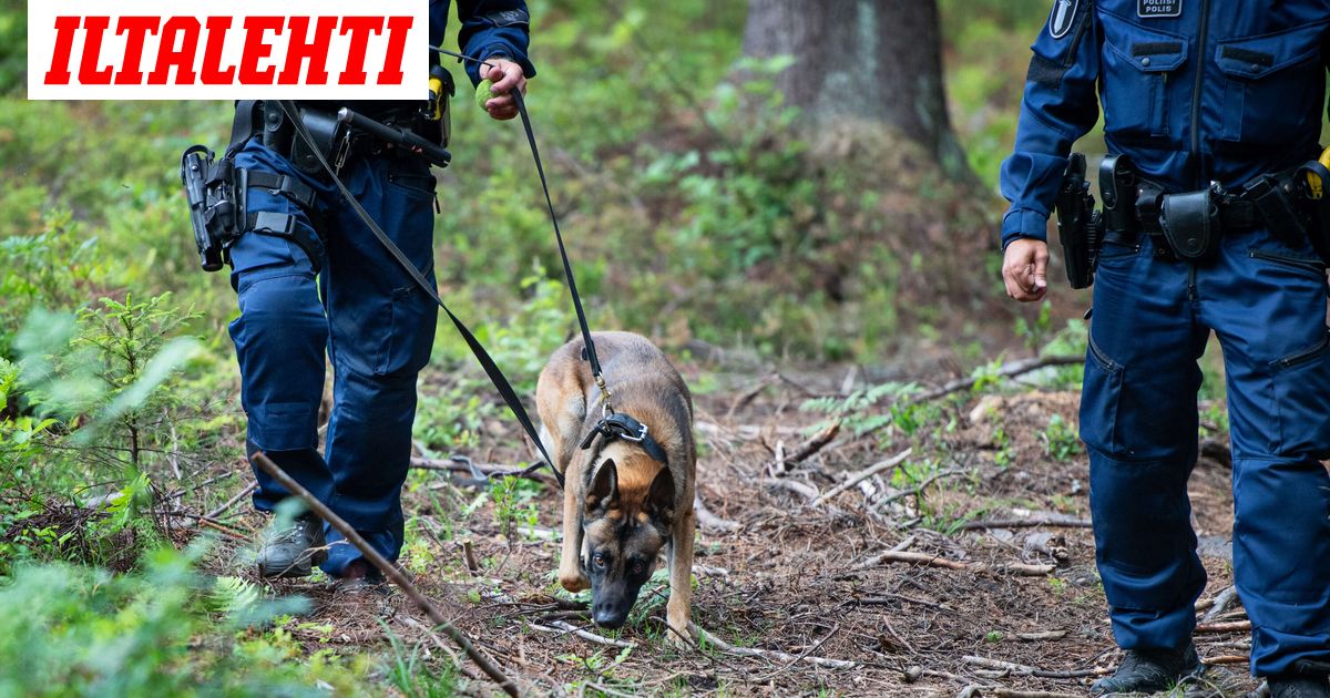 Mies puukotti kahta tuttuaan Joensuussa — poliisikoira pelasti naisen hengen