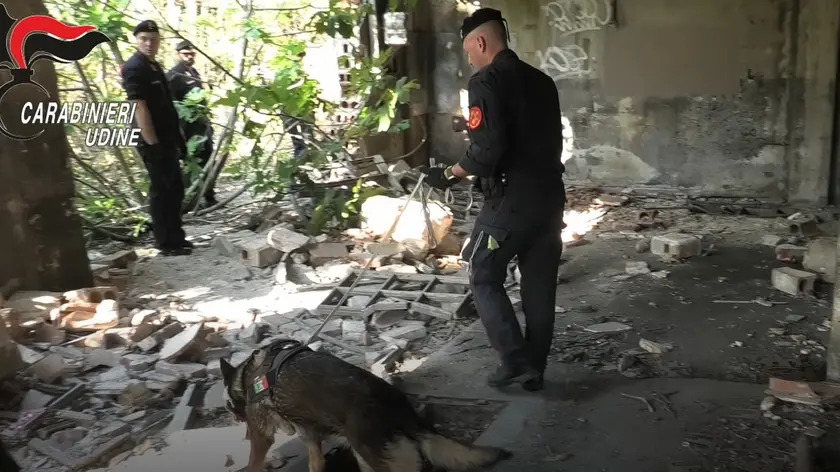 Maxi blitz anti-droga a Udine: 15 arresti, sgominata rete da 20 mila euro al giorno