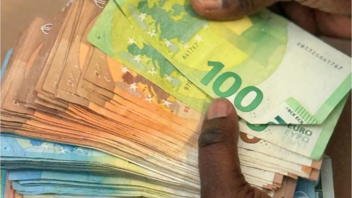 Réseau criminel démantelé en Guadeloupe : proxénétisme, travail au noir et blanchiment