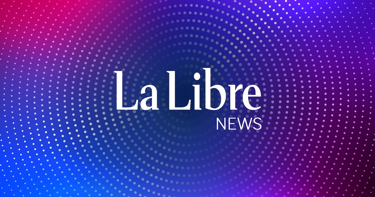 Saisie de 30 kg de cannabis et 233 000 euros dans la région de Tubize