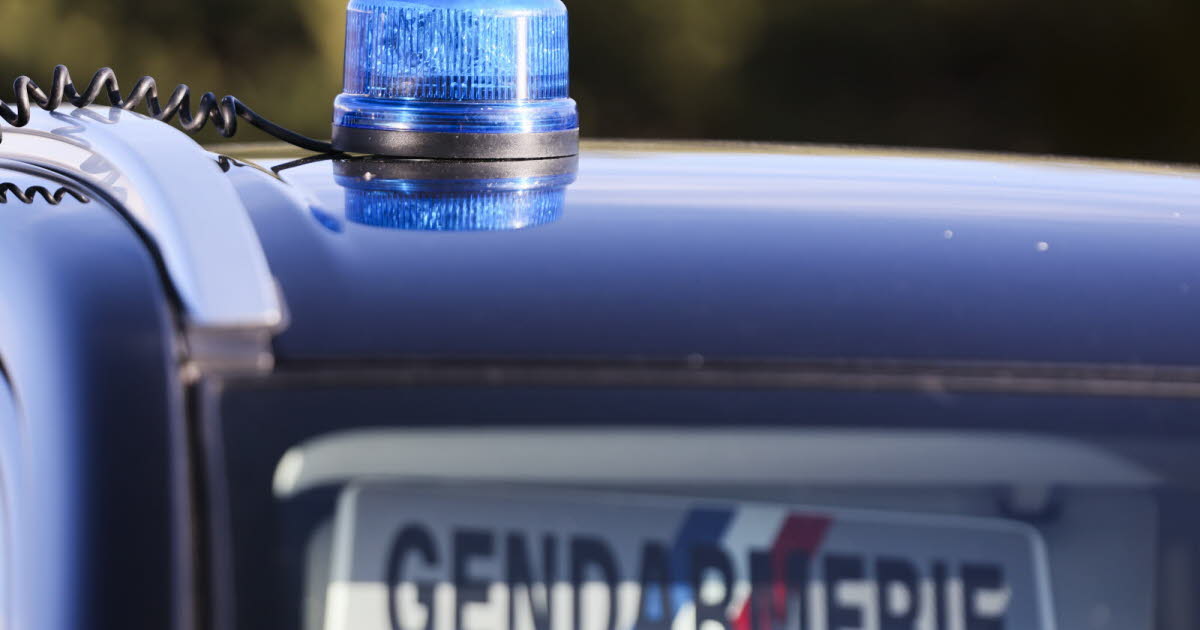 Vaucluse : des gendarmes démantèlent un réseau de livreurs de stupéfiants