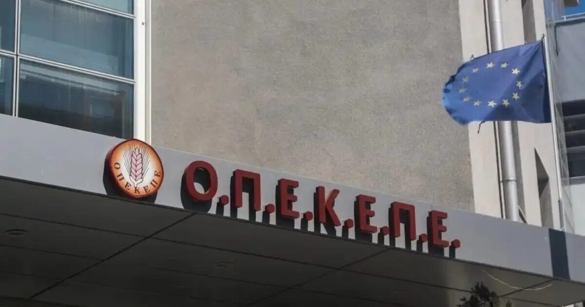 Δικαστήριο ανάβαθμισε σε κακούργημα την υπόθεση Μελά-Ρέππα στον ΟΠΕΚΕΠΕ