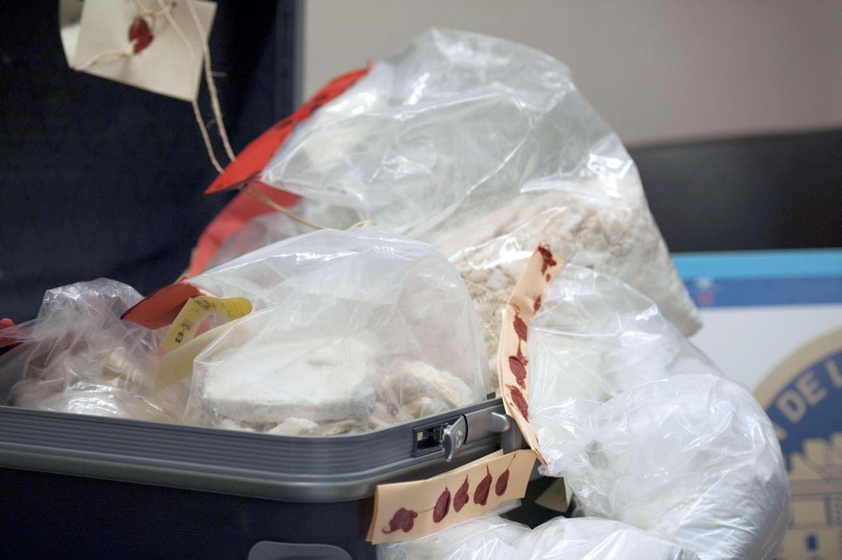 Sequestrati 340 chili di cocaina extra-pura nel porto di Vado Ligure, valore di 120 milioni di euro
