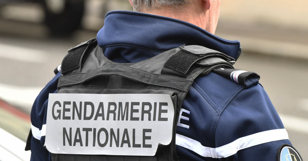 Dix kilos de kétamine saisis dans des emballages de nourriture pour chiens près de Grasse
