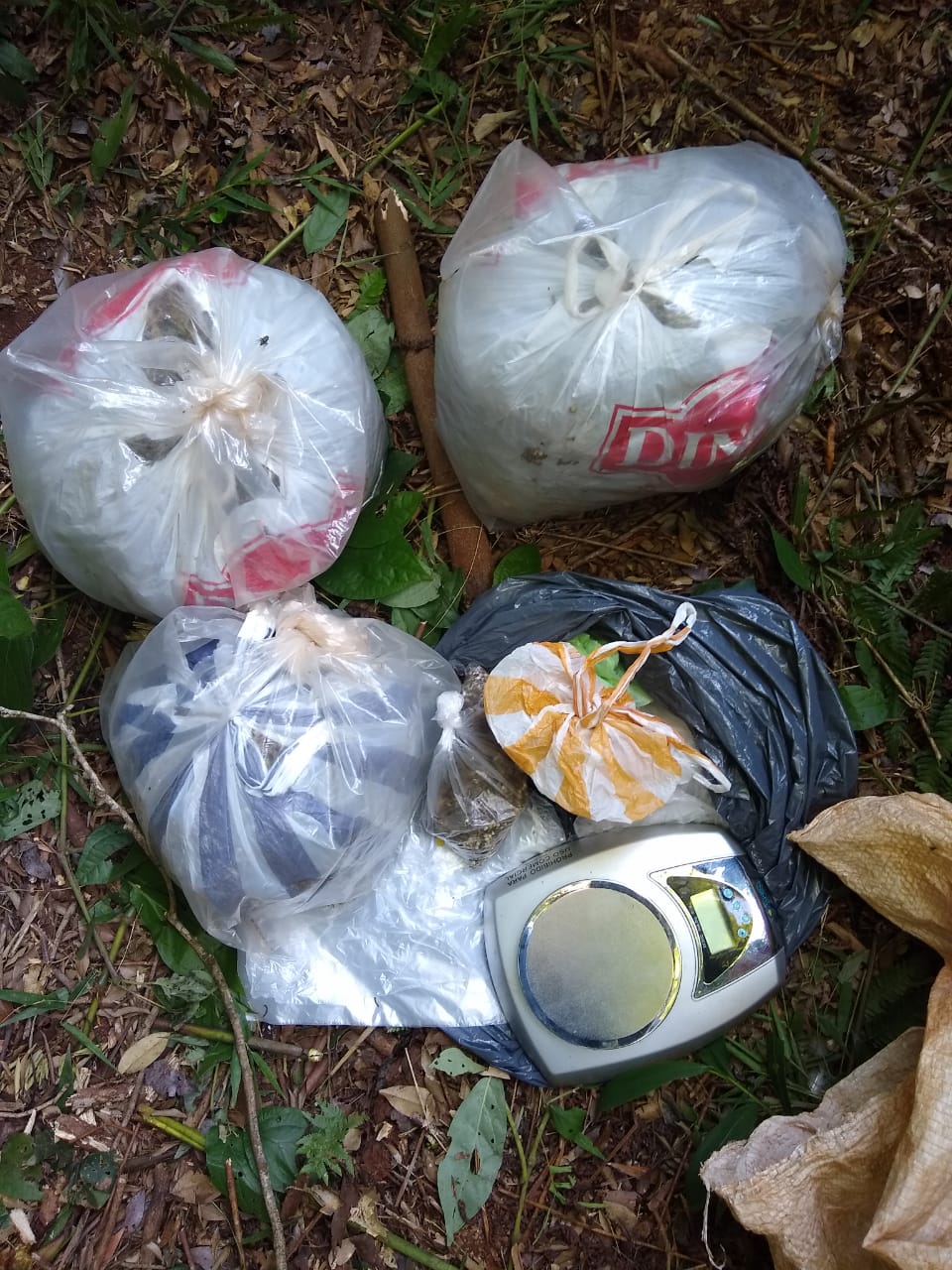 Incineran 960 kilos de droga en Buenos Aires en un operativo contra el narcotráfico