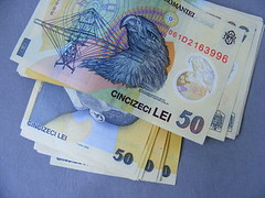 Fraudă în evidența animalelor: ovine declarate decedate în Tulcea, descoperite în viață la Cluj