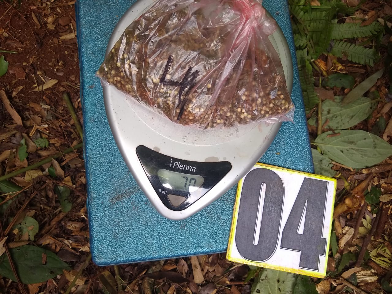 Incineran 960 kilos de droga en la Ciudad de Buenos Aires