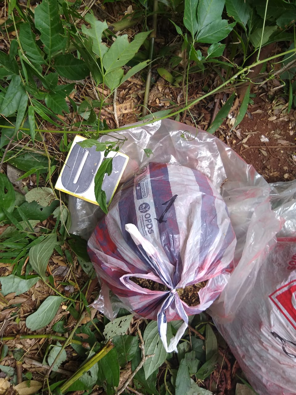 Incineran 960 kilos de drogas en Buenos Aires en un operativo contra el narcotráfico