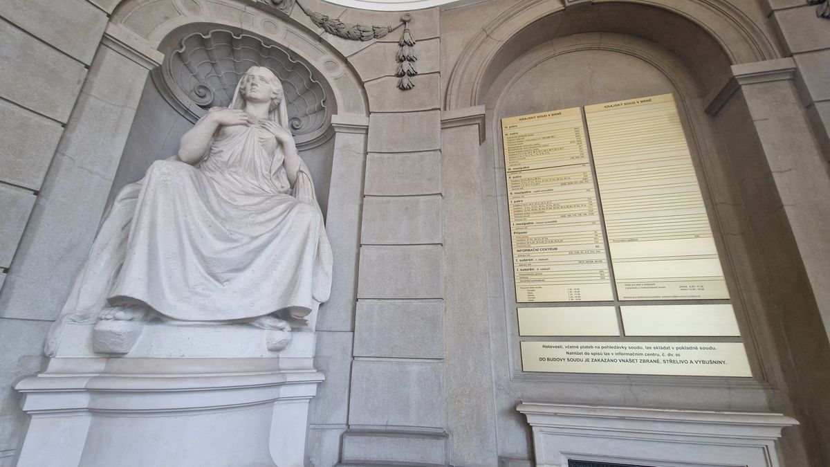 Šedesátník z Vyškovska znásilnil neteř i praneteř, dostal podmínku