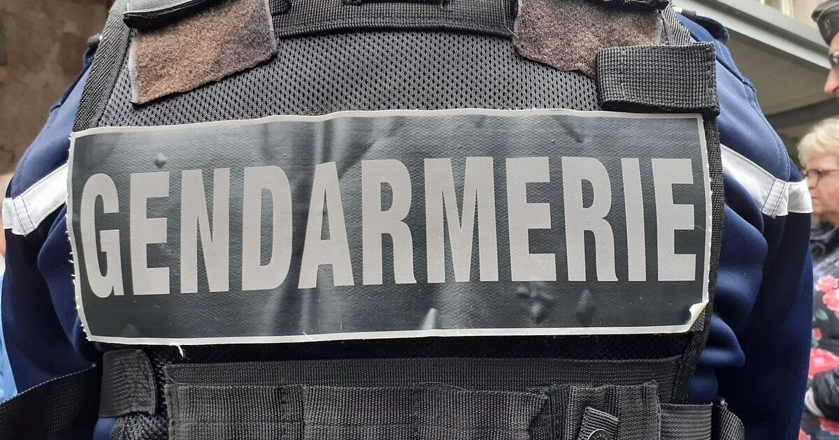 Réseau de cocaïne « French Connection » démantelé à Tournon-sur-Rhône, douze interpellations