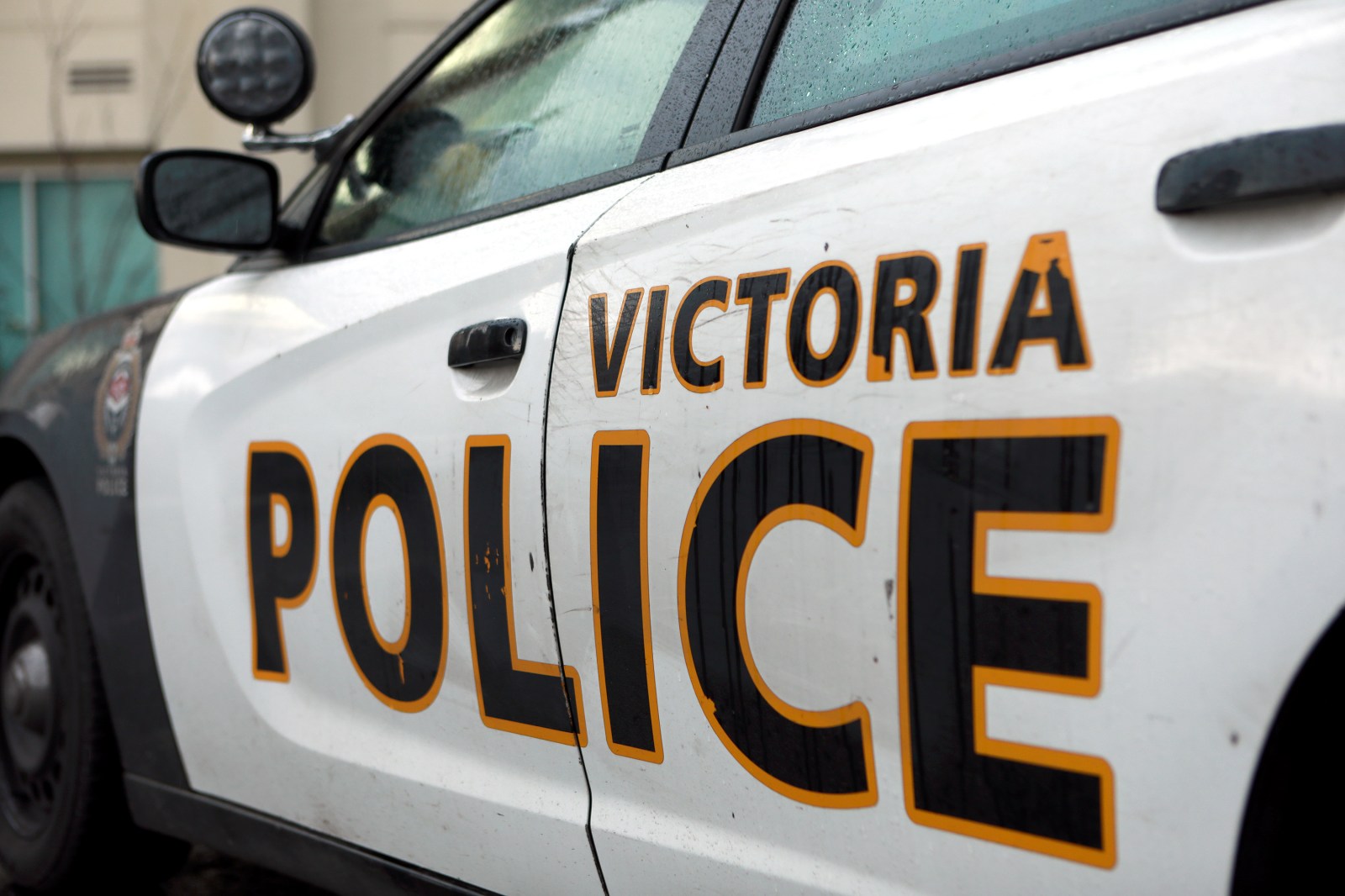 Assault in Victoria park leaves three wounded, two suspects in custody